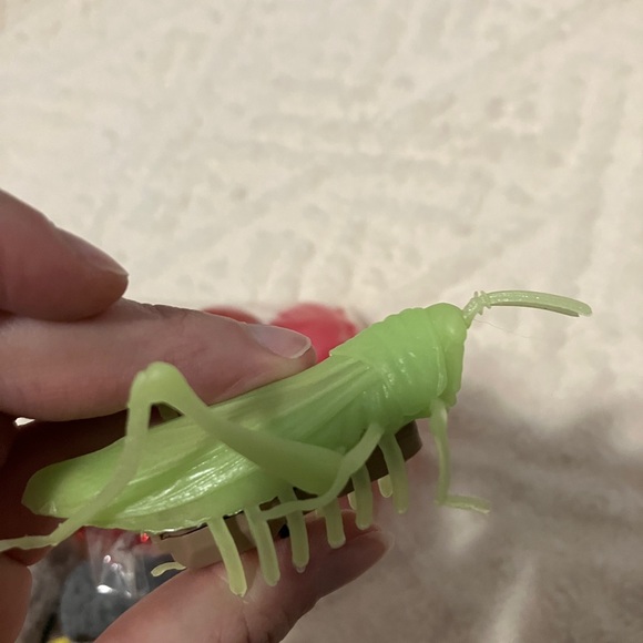 Lot of unused cat toys - Picture 7 of 10